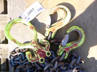 Hoisting Chains