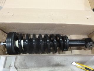 Unused Box of (2) Struts for 2010 Ford F150 (C-2)