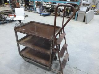 Warehouse Parts Cart w/ Ladder