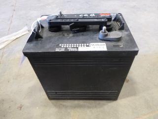 Willard Golf Cart/Electric Vehicle Battery (W-2-3)