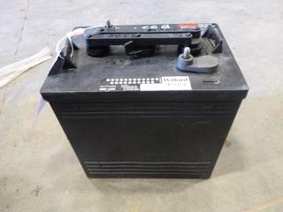 Willard Golf Cart/Electric Vehicle Battery (W-2-3)