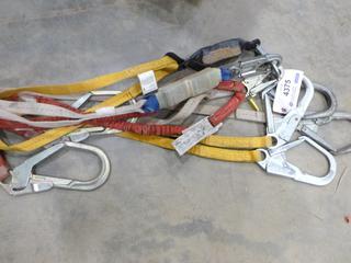 Qty of 10Ft. Shock Absorbing Lanyards (F2)