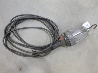 (1) Flood Light/Trouble Light (F2)