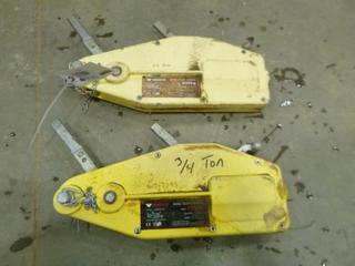 (2) Vanguard 3/4 Ton Turfer Hoists