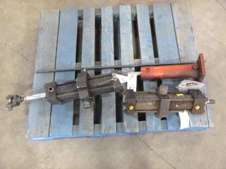 (3) Hydraulic Pumps