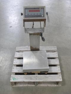 Rice Lake Weighing System