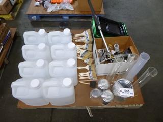 Pallet Containing Paint Brushes, Hand Broom, Paint Trays, Empty Jugs, Etc