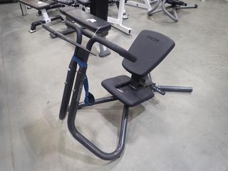 Precor Stretch Trainer Machine. *Note: This Item Is Located At 7103 68AVE NW- Location 2*