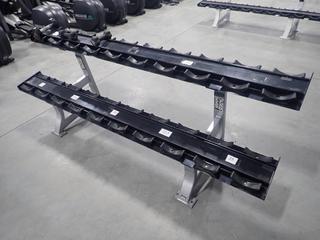 Hammer Strength 2-Tier 20-Slot Dumbbell Rack. SN 7197