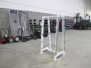 Hammer Strength 10-Tier Barbell Rack