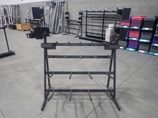 4-Tier Weight Plate Rack w/ Attached Bins And Attached Barbell Stands