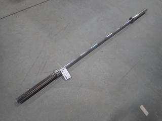 45lb Olympic Bar