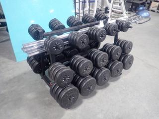 Portable Plate Rack C/w York 2.5lb - 10lb Weights And (10) Bars