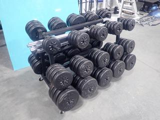 Portable Plate Rack C/w York 2.5lb - 10lb Weights And (10) Bars