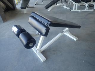 Pulse Fitness Systems Model B107 Decline Bench. SN 808513
