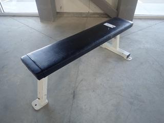 Pulse Fitness Systems Model B101 Flat Bench. SN 0303515