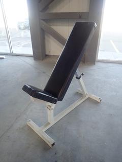 Pulse Fitness Systems Model B103 Adjustable Incline Bench. SN 808512