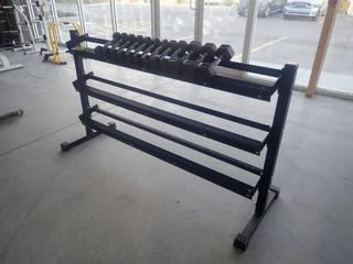 3-Tier Dumbbell Rack C/w (3) 10lb And (9) 5lb Hex Dumbbells