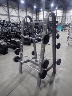 York 10-Tier Barbell Rack C/w Assorted Barbells 