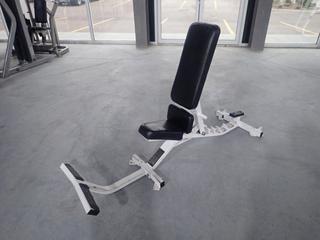 Hammer Strength A07 Adjustable Bench w/ Foot Supports. SN 2352