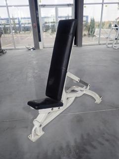 Life Fitness FB31 Adjustable Bench. SN 70863