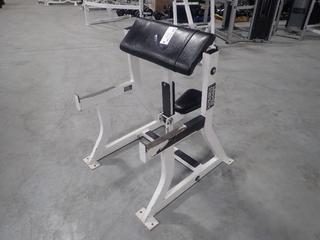 Hammer Strength Seated Arm Curl. SN 1943