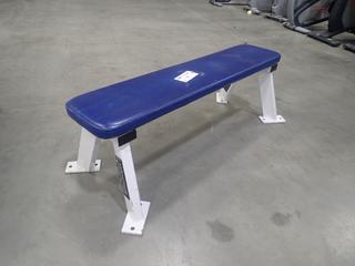 Hammer Strength Flat Bench. SN 0893  *Note: This Item Is Located At 7103 68AVE NW- Location 2*