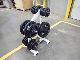 Hammer Strength Weight Plate Tree C/w Assorted Weight Plates *Note: This Item Is Located At 7103 68AVE NW- Location 2*