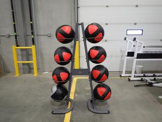 Power System Medicine Ball Stand C/w (8) Assorted Size Medicine Balls *Note: This Item Is Located At 7103 68AVE NW- Location 2*