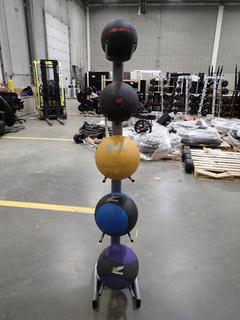 Medicine Ball Stand C/w (5) Medicine Balls *Note: This Item Is Located At 7103 68AVE NW- Location 2*