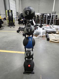 Medicine Ball Stand C/w (5) Assorted Size Medicine Balls *Note: This Item Is Located At 7103 68AVE NW- Location 2*