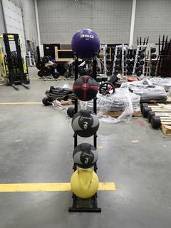 Medicine Ball Stand C/w (5) Assorted Size Medicine Balls *Note: This Item Is Located At 7103 68AVE NW- Location 2*