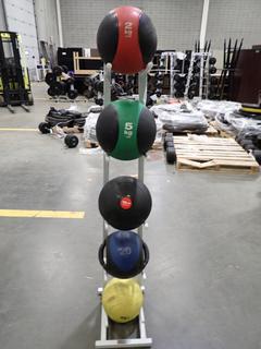 Power Systems Medicine Ball Stand C/w (5) Assorted Size Medicine Balls *Note: This Item Is Located At 7103 68AVE NW- Location 2*