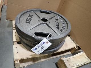 Qty Of (4) IGX 45lb Weight Plates *Note: This Item Is Located At 7103 68AVE NW- Location 2* 