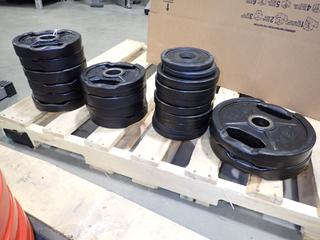 Qty Of (8) 5lb, (10) 10lb And (2) 25lb IGX Weight Plates C/w (2) Wanko 1.25kg Weight Plates *Note: This Item Is Located At 7103 68AVE NW- Location 2* 