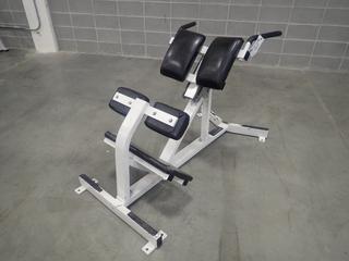 Hammer Strength Back Extension Bench *Note: This Item Is Located At 7103 68AVE NW- Location 2*