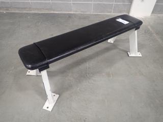 Hammer Strength Flat Bench  *Note: This Item Is Located At 7103 68AVE NW- Location 2*