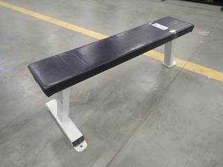 Pulse Fitness B101 Flat Bench. SN 0303519  *Note: This Item Is Located At 7103 68AVE NW- Location 2*