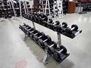 Hamer Strength 2-Tier Dumbbell Rack C/w 7.5lb - 45lb Dumbbells *Note: This Item Is Located At 7103 68AVE NW- Location 2*