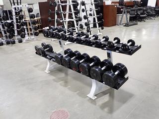 Hammer Strength 2-Tier Dumbbell Rack C/w Assorted Dumbbells *Note: Rack Has Cracks, This Item Is Located At 7103 68AVE NW- Location 2*