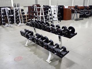 Hammer Strength 2-Tier Dumbbell Rack C/w 10lb - 50lb Dumbbells *Note: This Item Is Located At 7103 68AVE NW- Location 2*