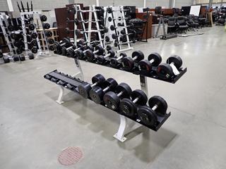 2-Tier Dumbbell Rack C/w Assorted Dumbbells *Note: This Item Is Located At 7103 68AVE NW- Location 2*