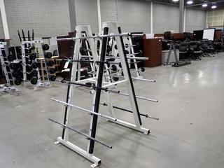 Magnum Barbell Rack C/w (10) Bars *Note: This Item Is Located At 7103 68AVE NW- Location 2*