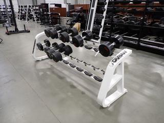 Icarian 2-Tier 20-Slot Dumbbell Rack C/w Assorted Dumbbells *Note: This Item Is Located At 7103 68AVE NW- Location 2*