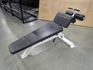 Icarian Adjustable Abdominal Bench  *Note: This Item Is Located At 7103 68AVE NW- Location 2*