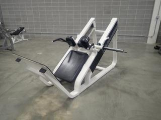 Icarian Hack Squat Machine  *Note: This Item Is Located At 7103 68AVE NW- Location 2*