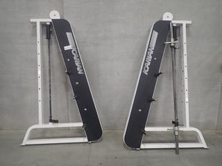 Icarian Smith Machine w/ Plate Racks *Note Disassembled, This Item Is Located At 7103 68AVE NW- Location 2*