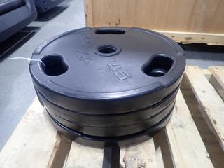 Qty Of (4) GP 45lb Weight Plates