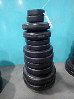 Qty Of 2.5kg, 5kg And 11.3kg Weight Plates