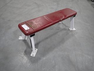Hammer Strength Flat Bench. SN 0507 *Note: Seat Torn*